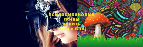 крисы Балахна
