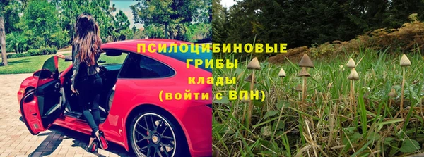 крисы Балахна