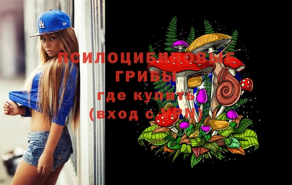 крисы Балахна