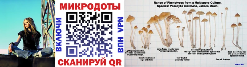 Галлюциногенные грибы ЛСД  блэк спрут вход  Пересвет 