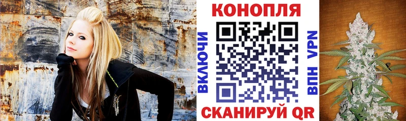 Шишки марихуана AK-47 Пересвет